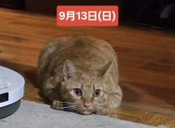 314579 B