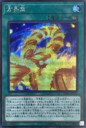 101521 B