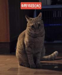 677738 B