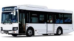 259395 B