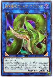 79587 B
