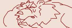 20214 B