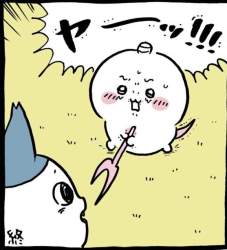 86684 B