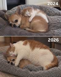 401889 B