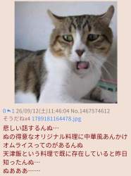 133234 B