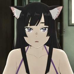 48895 B