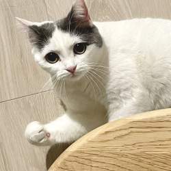 9941 B