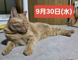 1515298 B