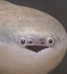 169693 B
