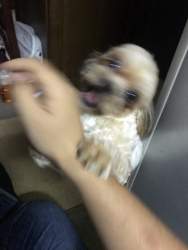 665390 B