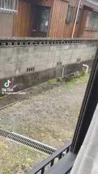 2618194 B