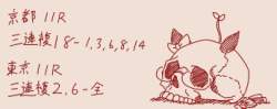 28955 B