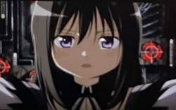 33446 B