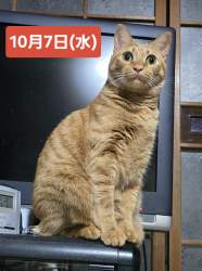 880584 B