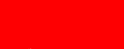 1294 B