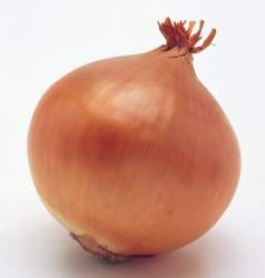 33826 B