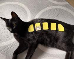 2397763 B