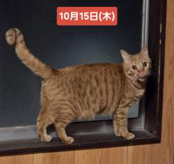 786944 B