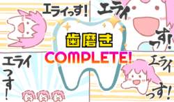 177214 B
