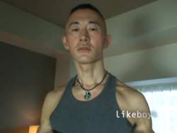 13587 B