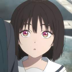 49533 B
