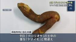 1786367 B
