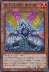 645542 B