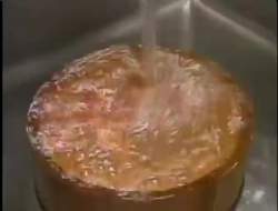 3024541 B